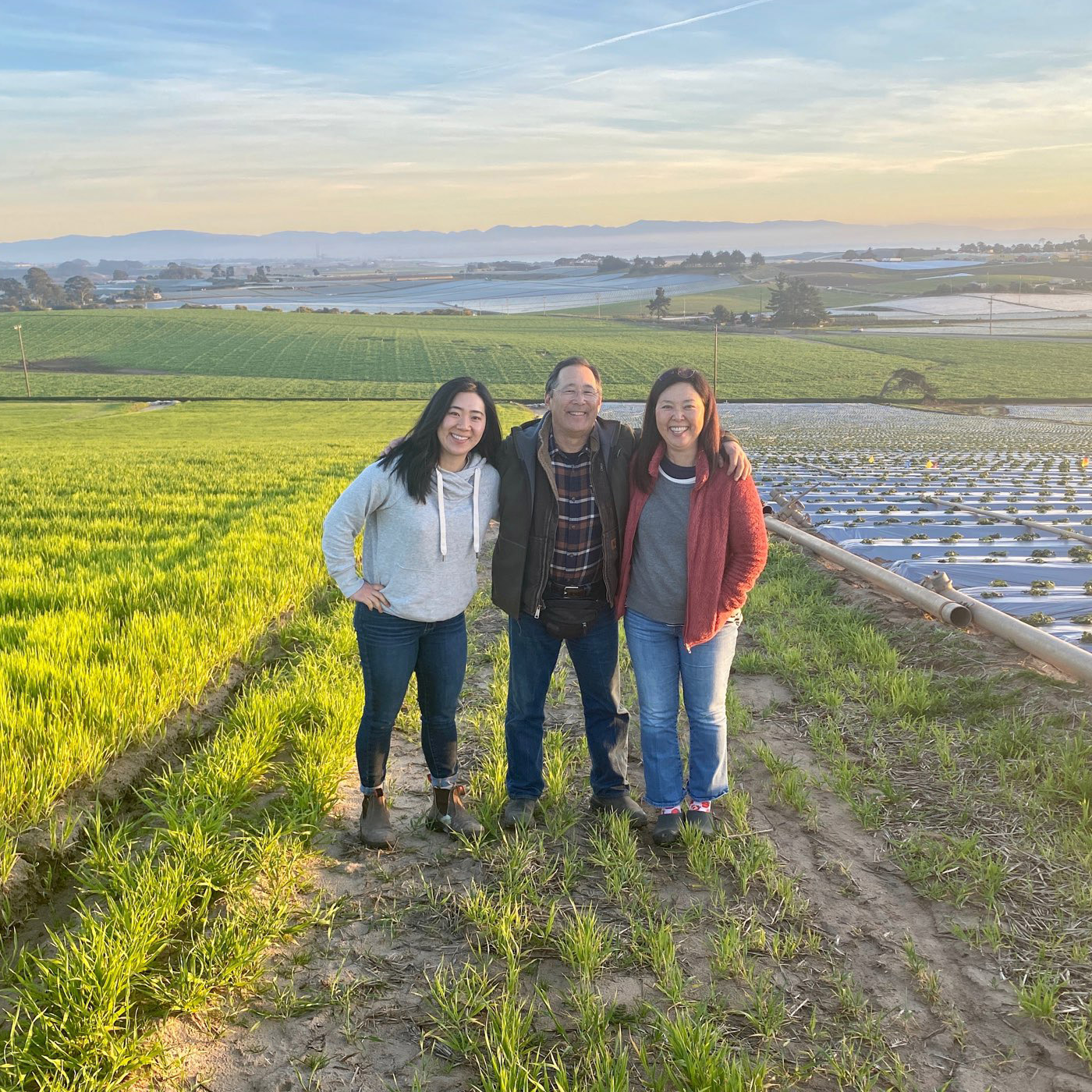 Shinta Kawahara family in a strawberry field