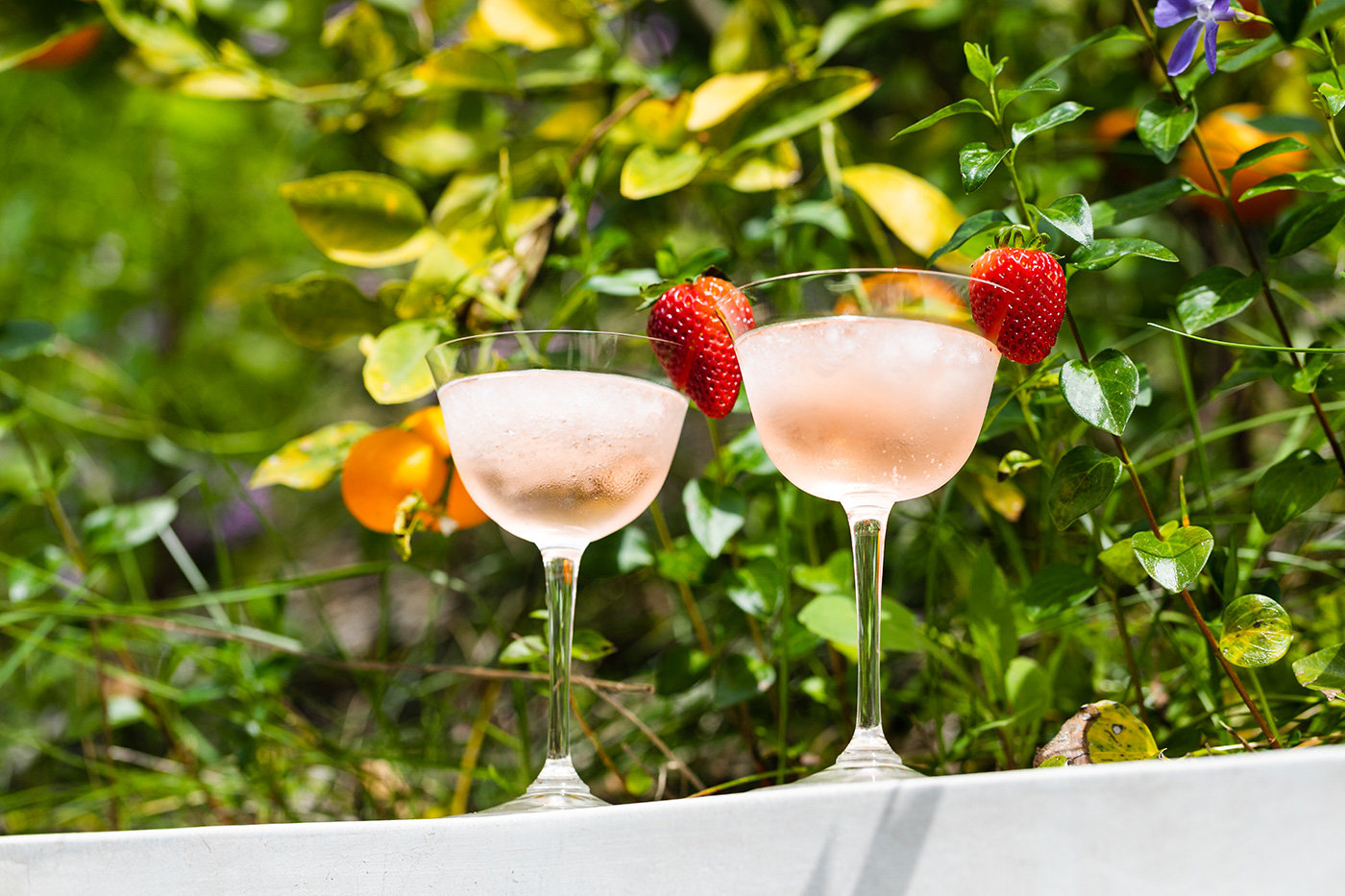 frozé
