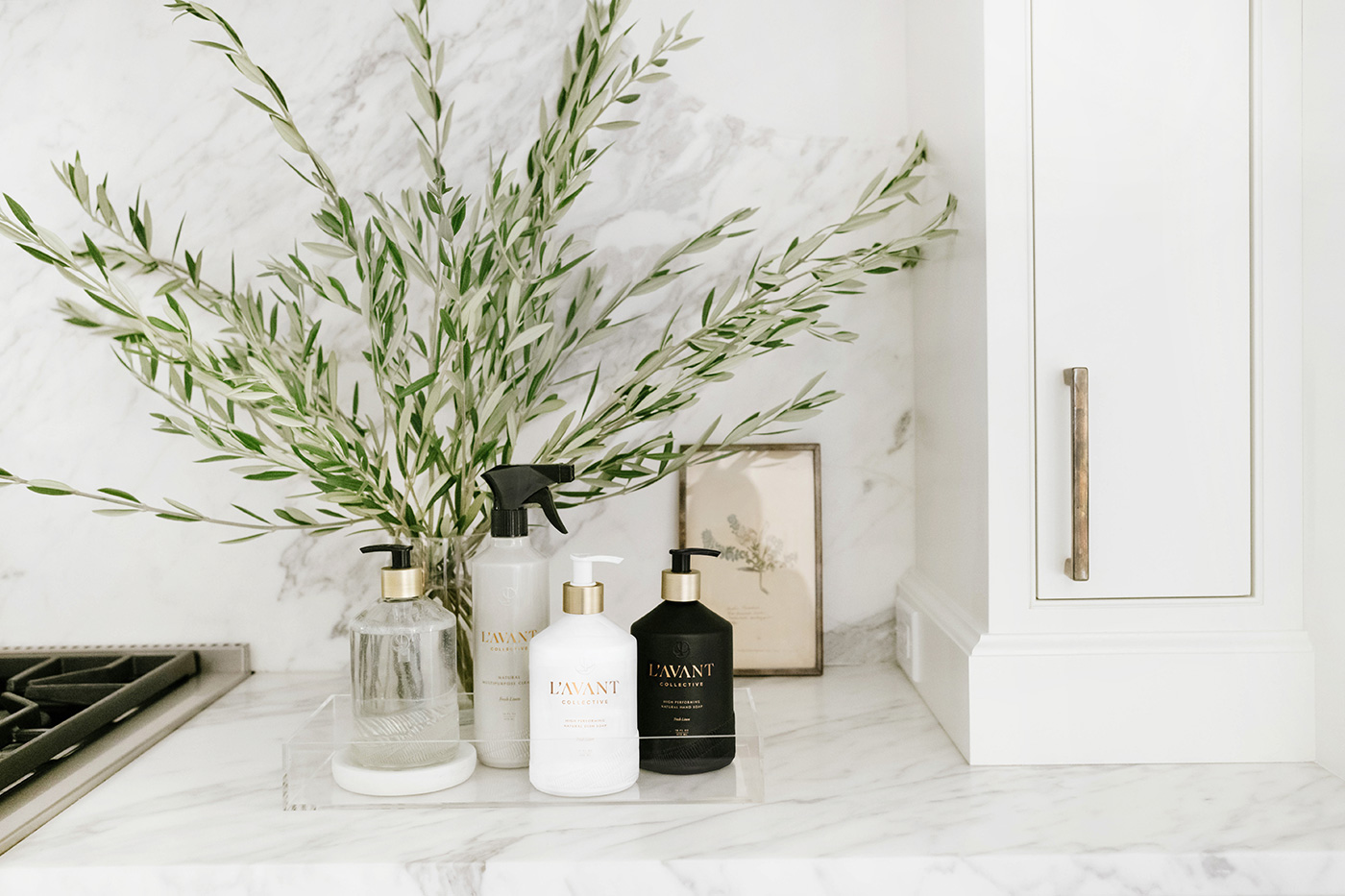 product lineup