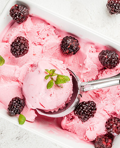 Olive Oil Gelato with Macerated Blackberries