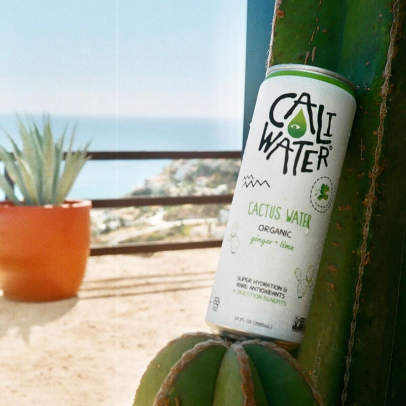 Can of Cali Water cactus water