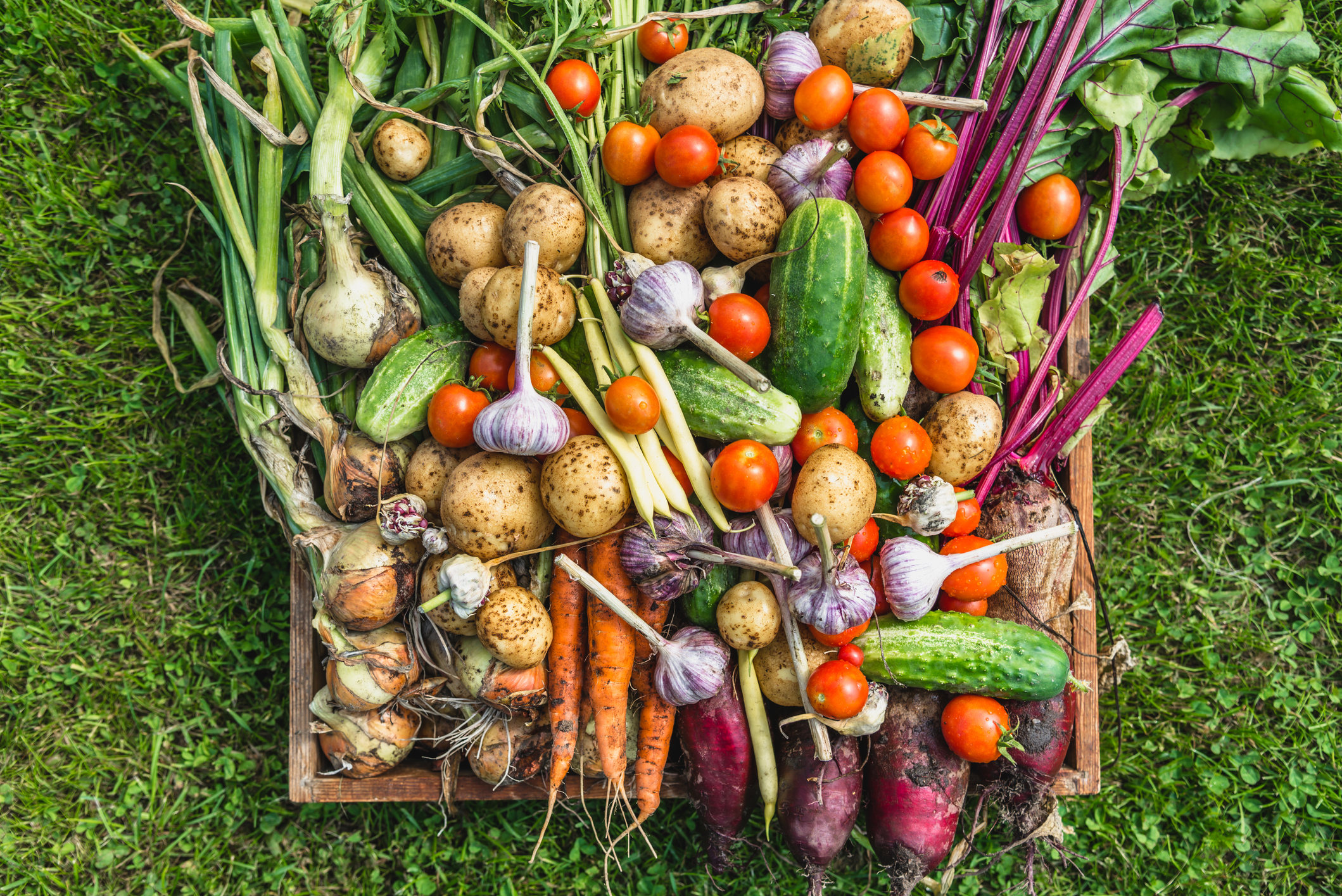 array of spring vegetables