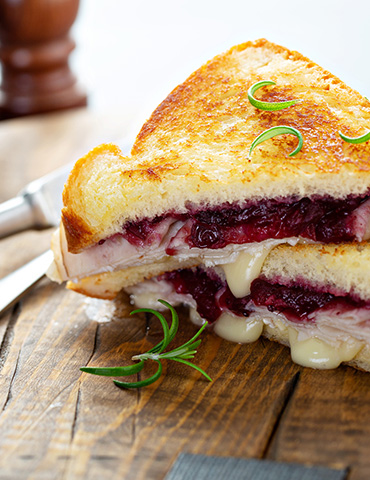 Turkey and Cranberry Grilled Cheese