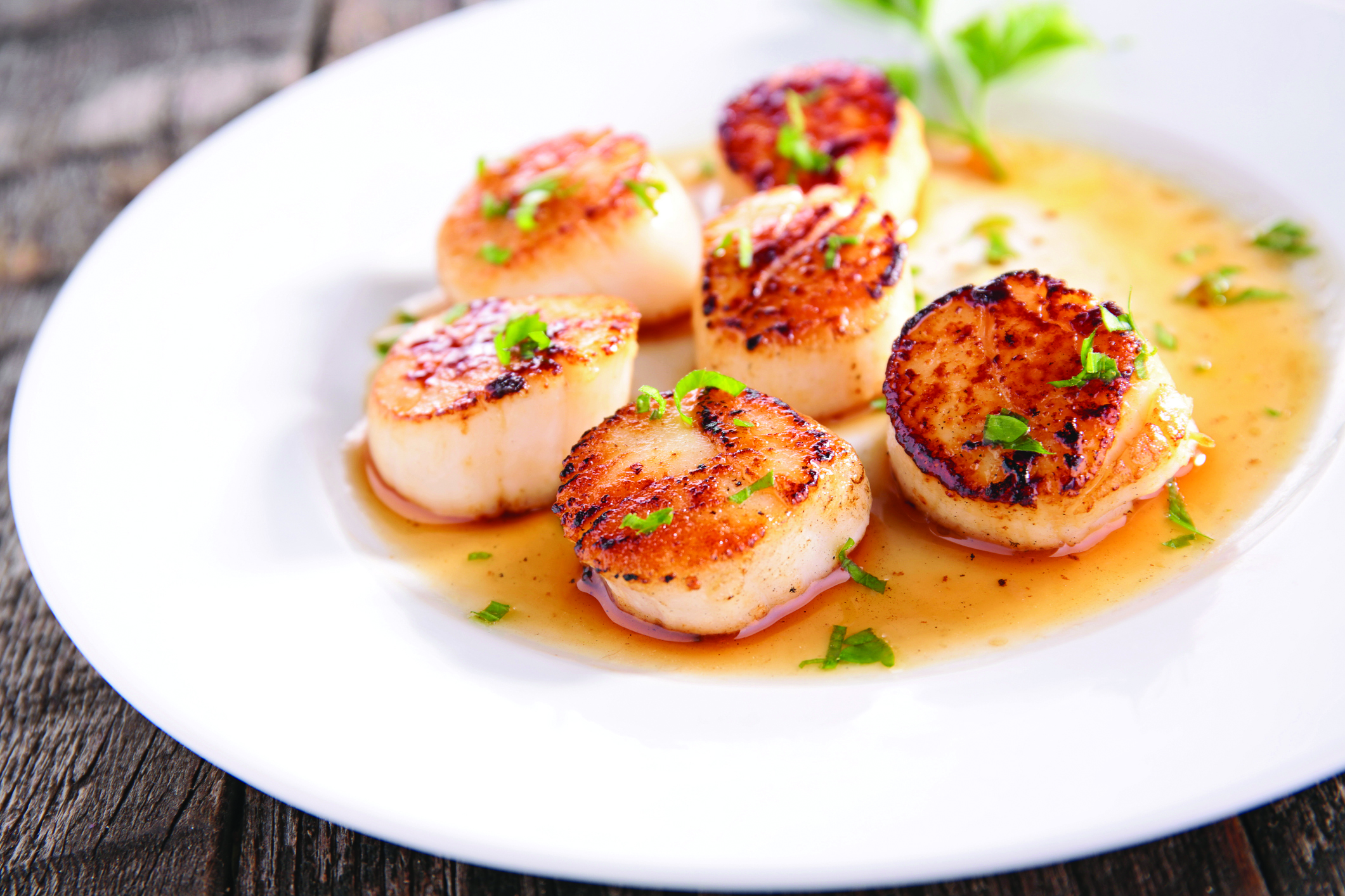 Wild-Caught Large Scallops