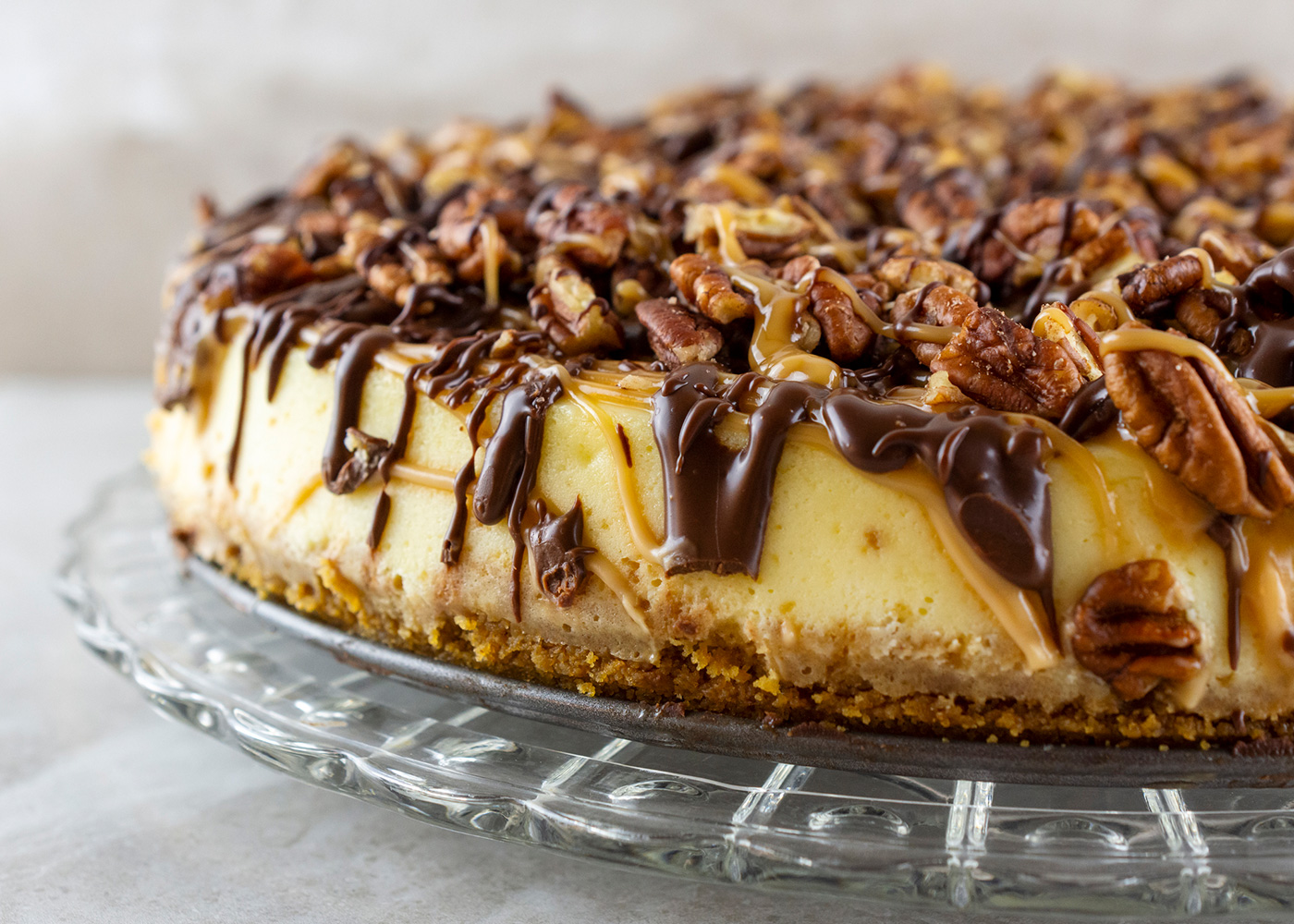 Turtle Cheesecake