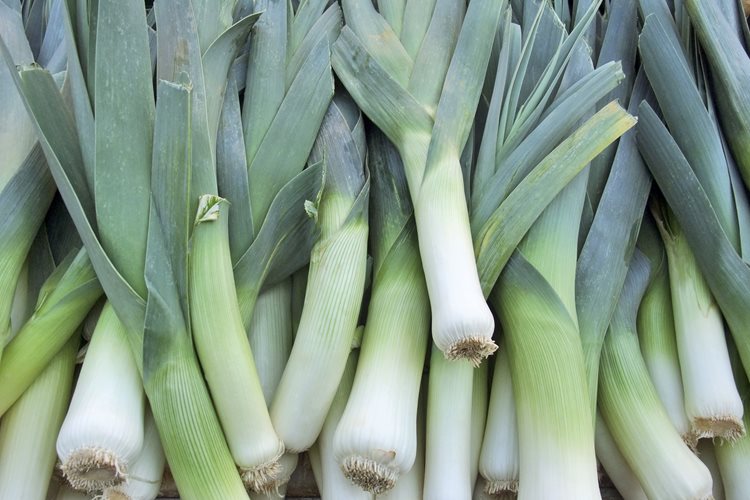 Leeks 101