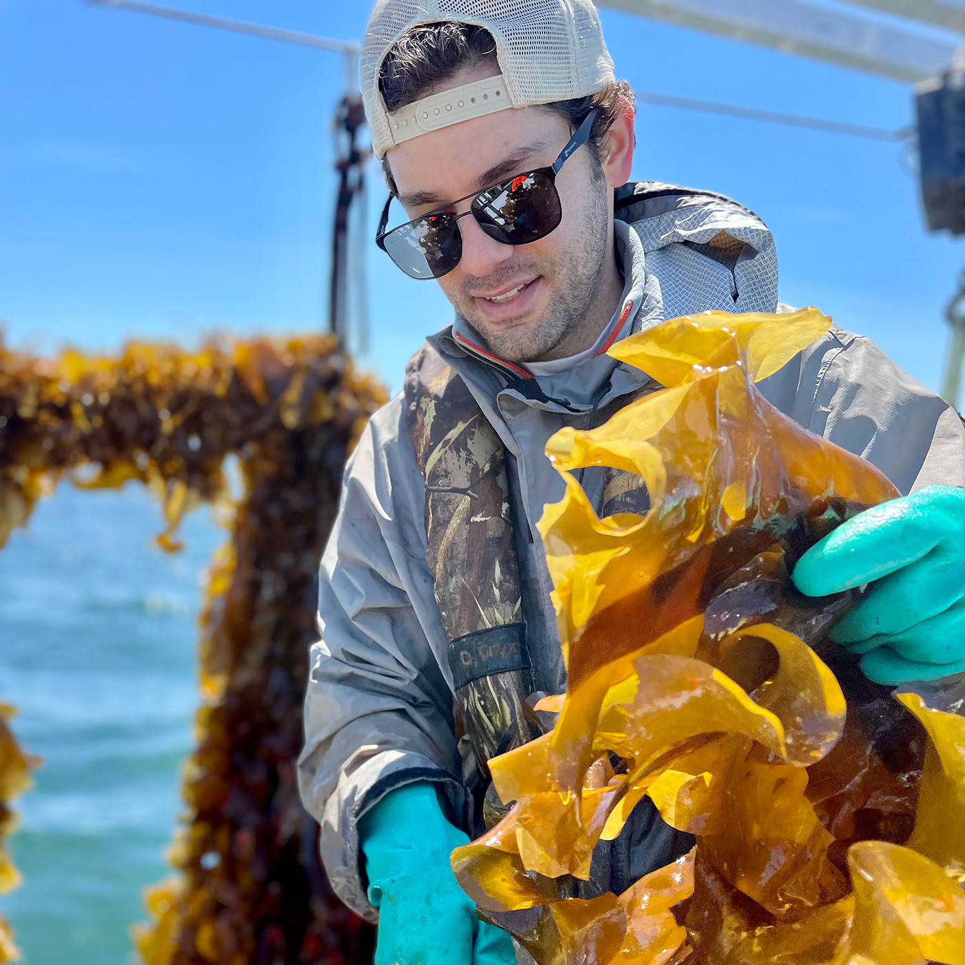 Patrick holding kelp on a boat