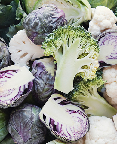 BF 101: Cruciferous Family