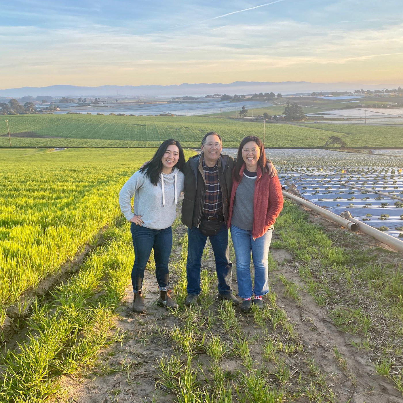 Shinta Kawahara family in a strawberry field