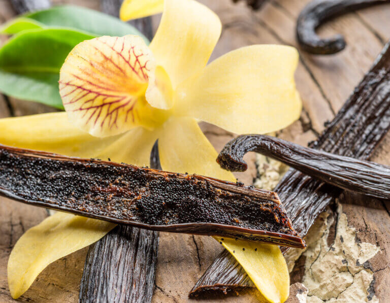 vanilla pods and orchid flower