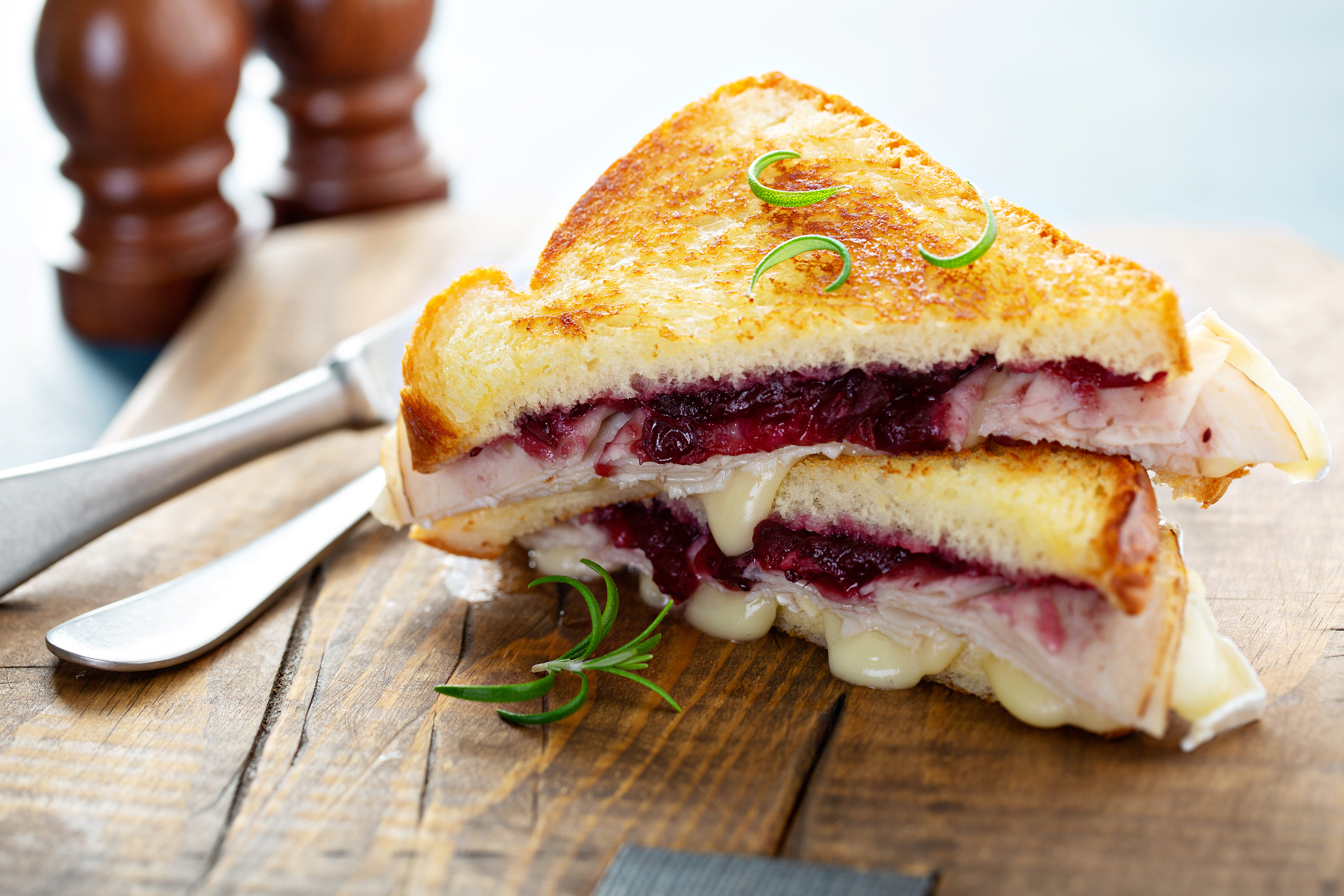Turkey and Cranberry Grilled Cheese
