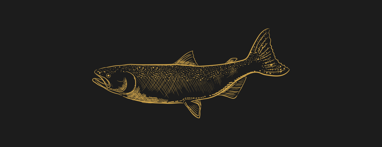 Yellow drawing of a fish on black background