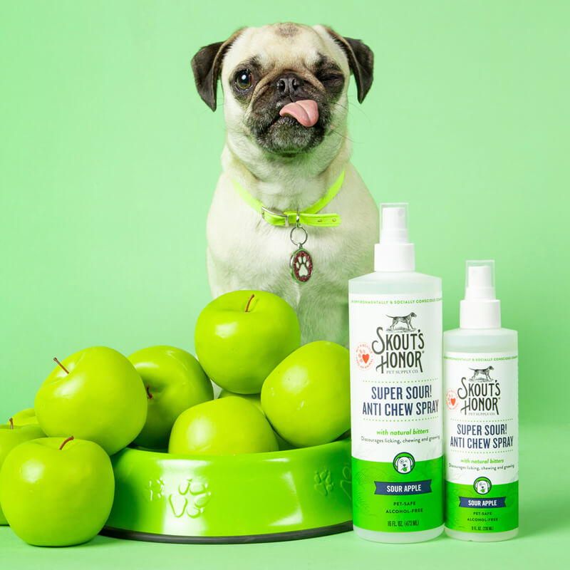 Dog posing with anti chew spray 