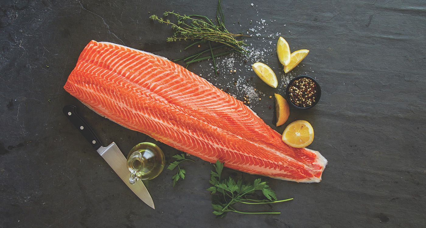 Steelhead Trout