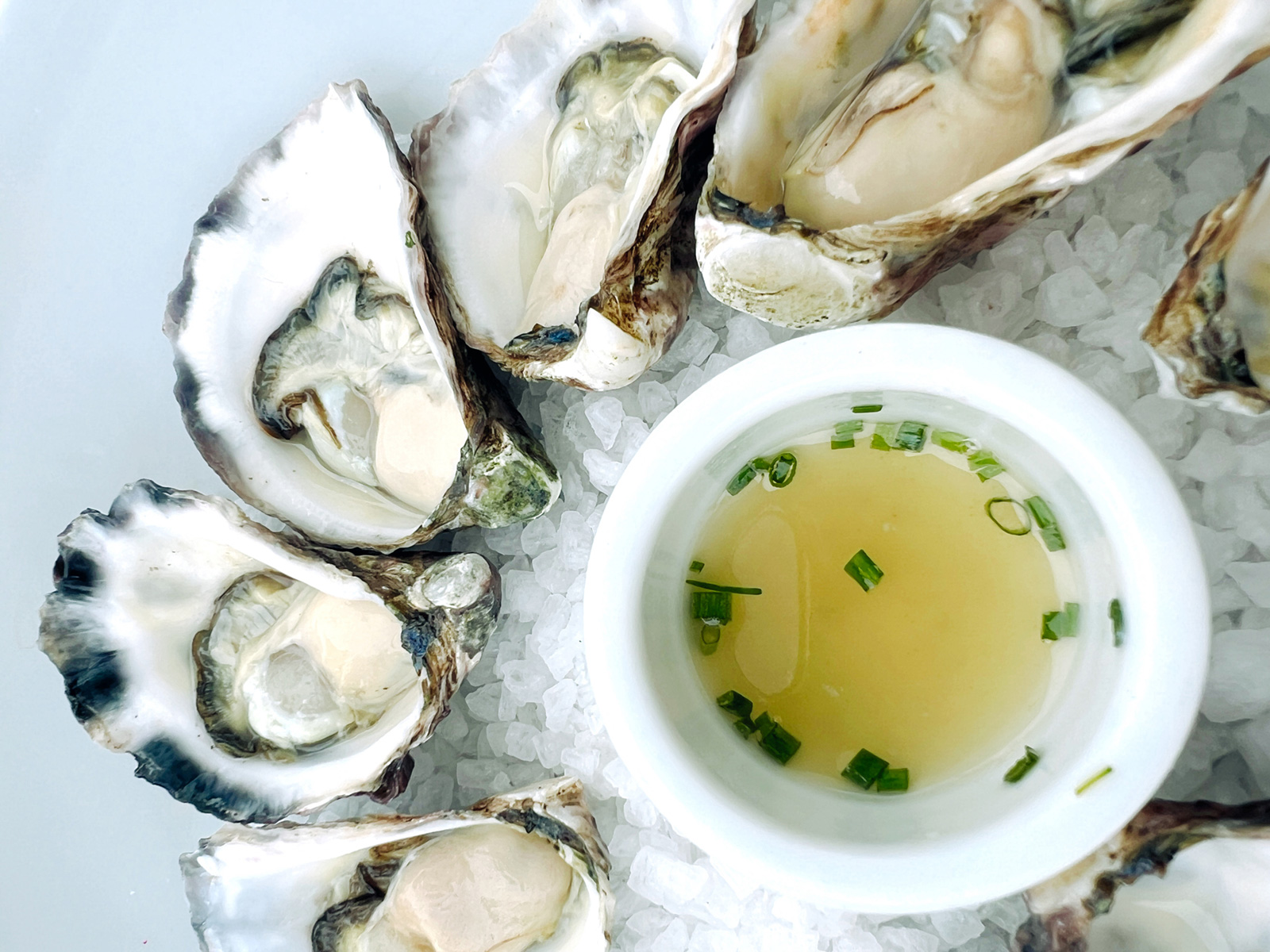 Fresh Oysters by the Dozen
