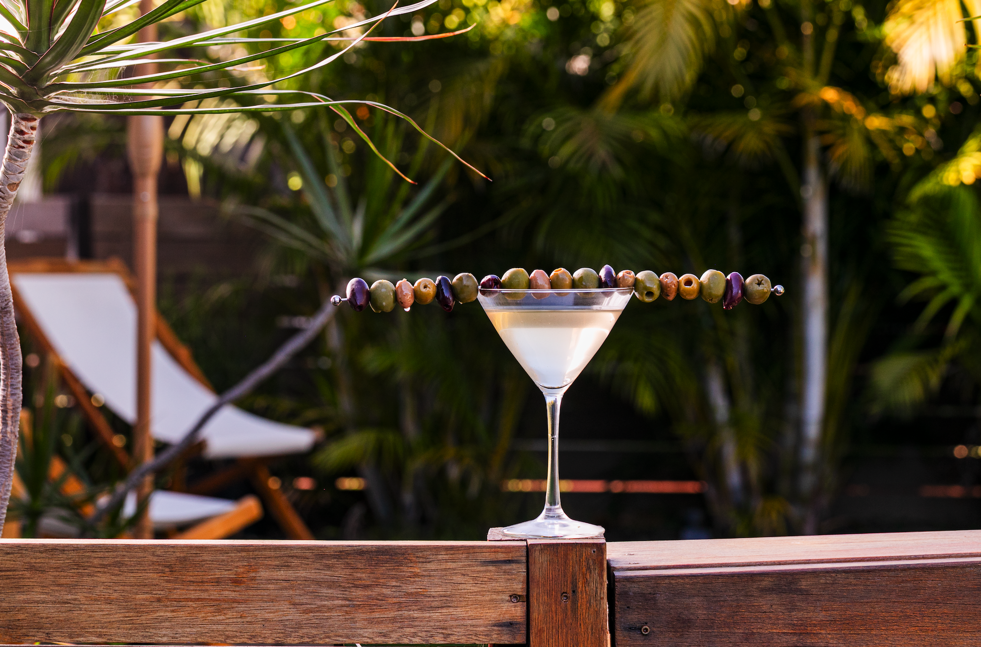 Dirty Martini with BF Olives