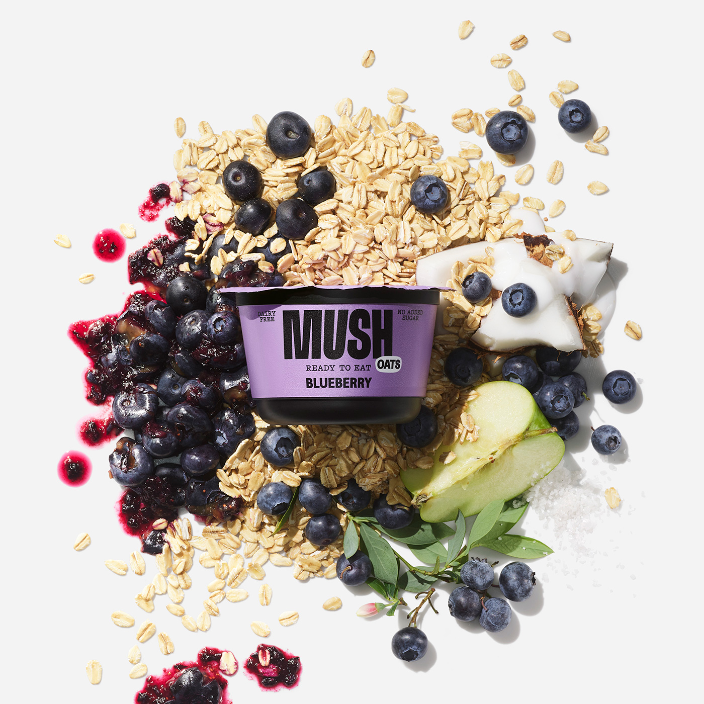 MUSH blueberry oats