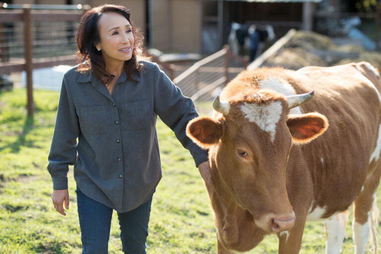 Miyoko standing in a field with a cow