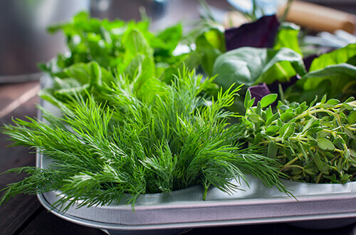tray with herbs 