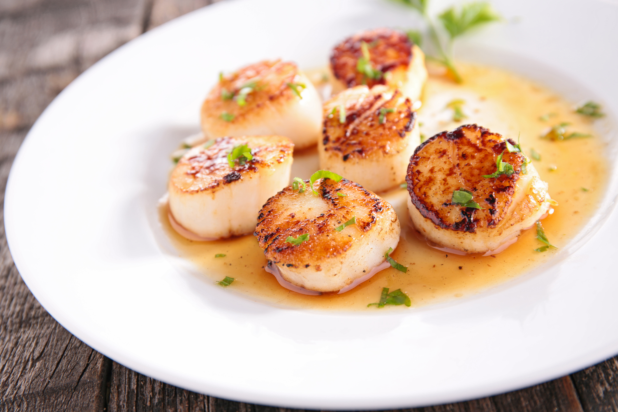 Prepared scallops on a plate