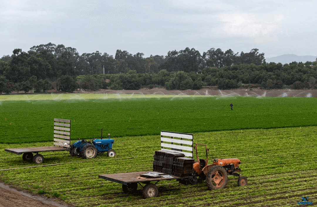 Muranaka farm with tractors in field