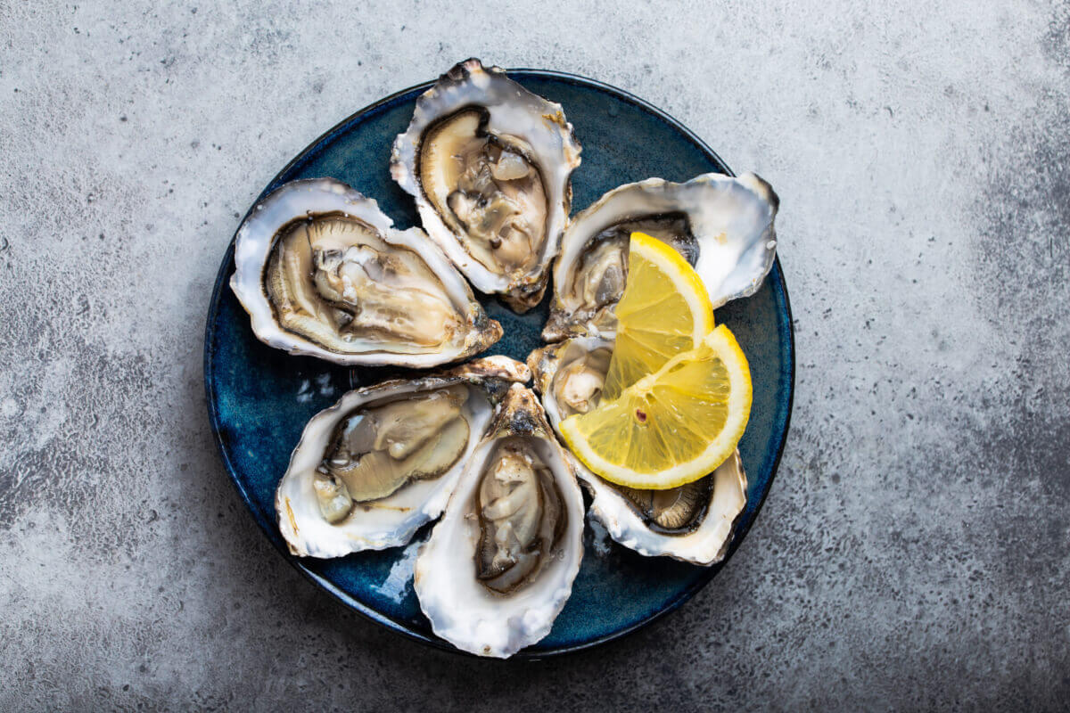 plate of raw oysters with lemon