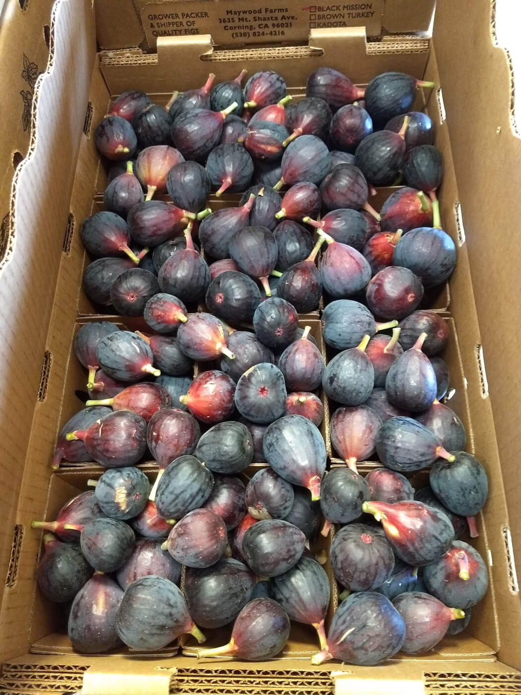 Harvested figs in a box