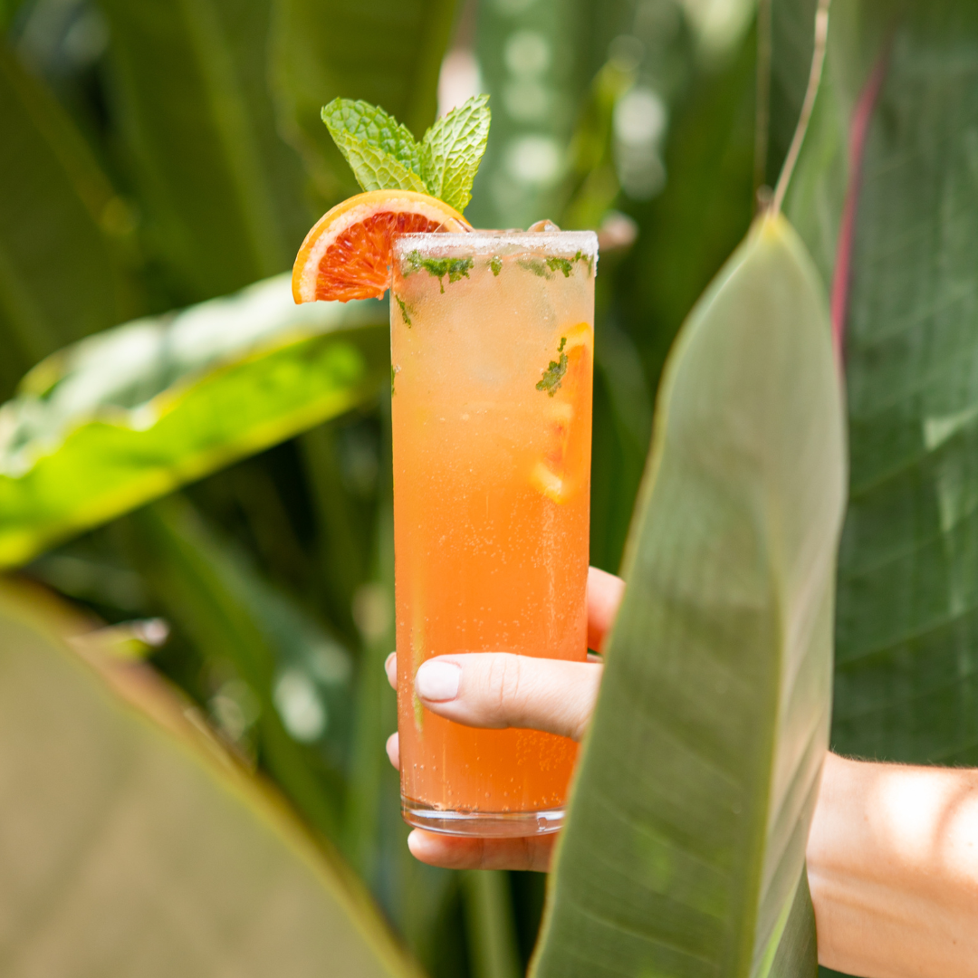 blood orange vodka soda