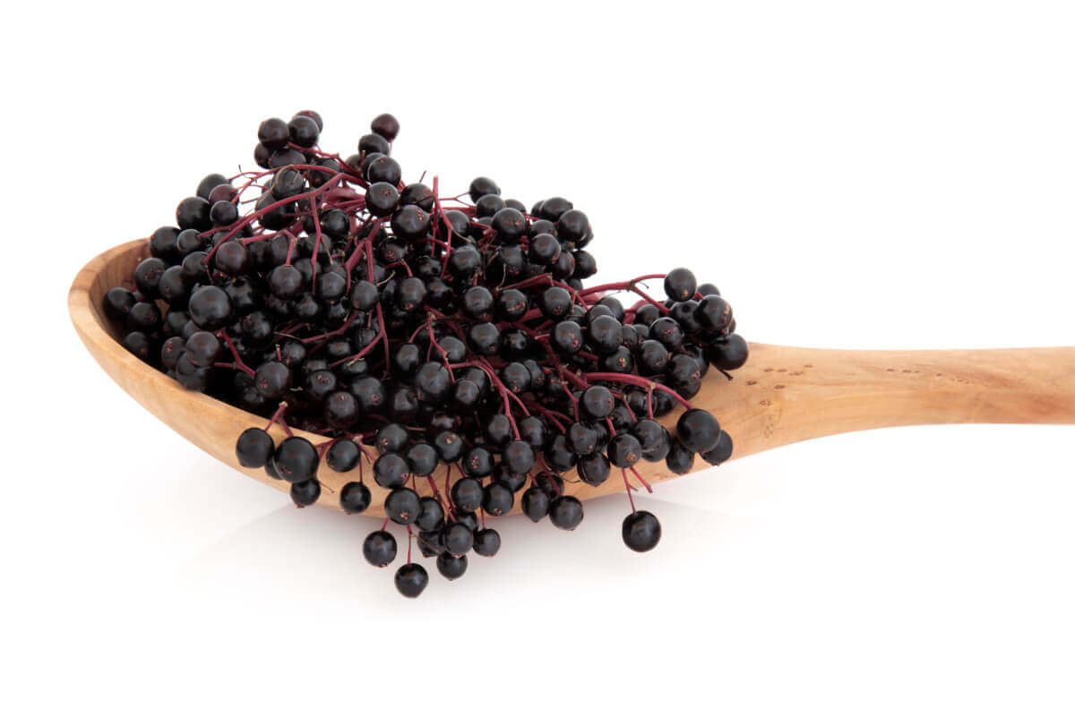 spoonful of elderberries