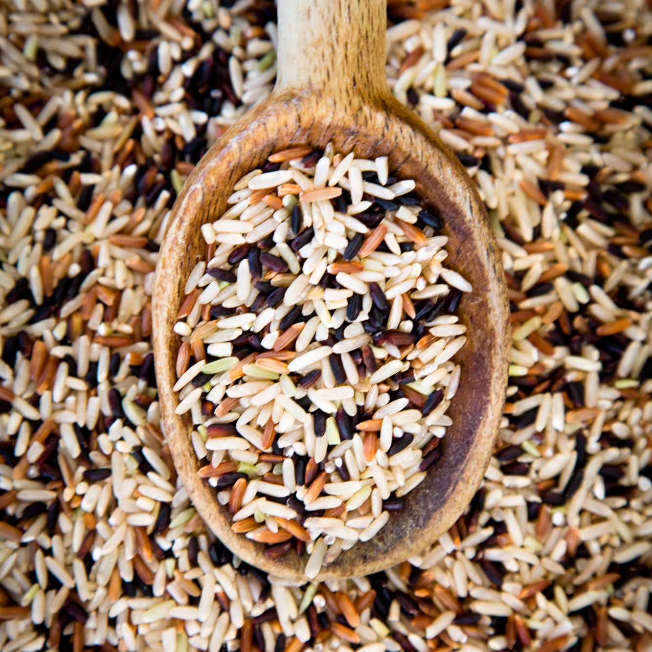 Spoon scooping tricolor rice 